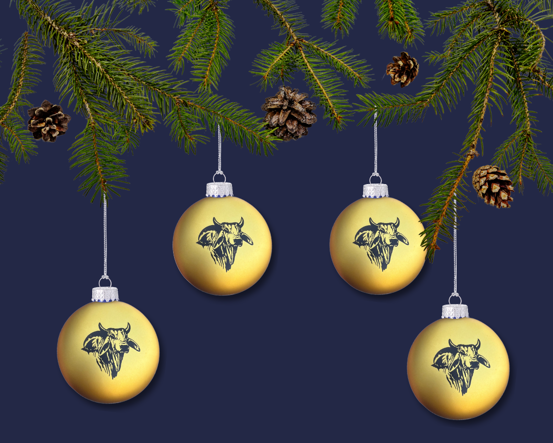 Retro Bull Ornament 4-Pack