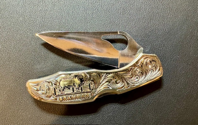 ABBA Byrd Knife - Silver and Gold