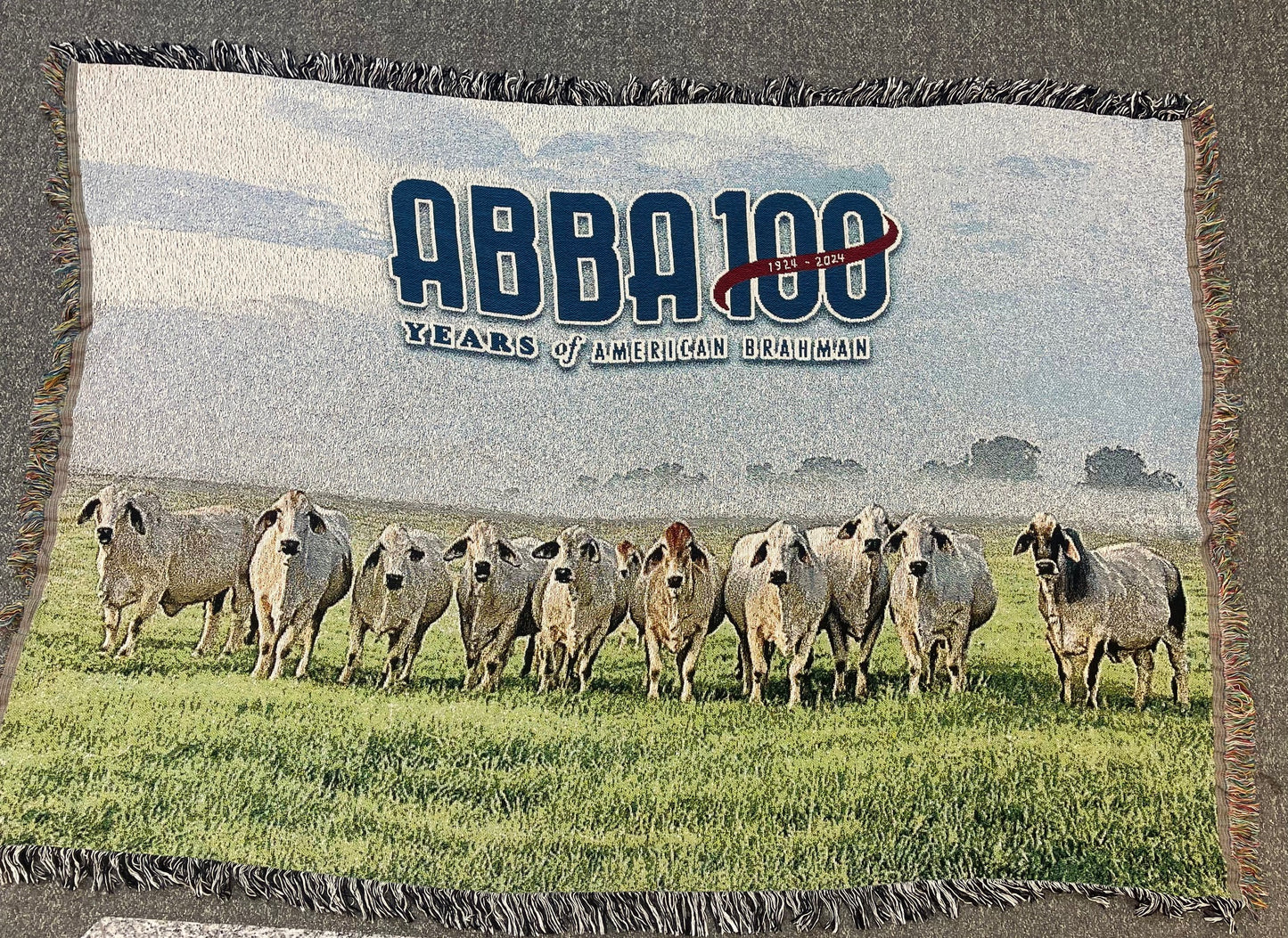 100 Year Grey Brahman Blanket