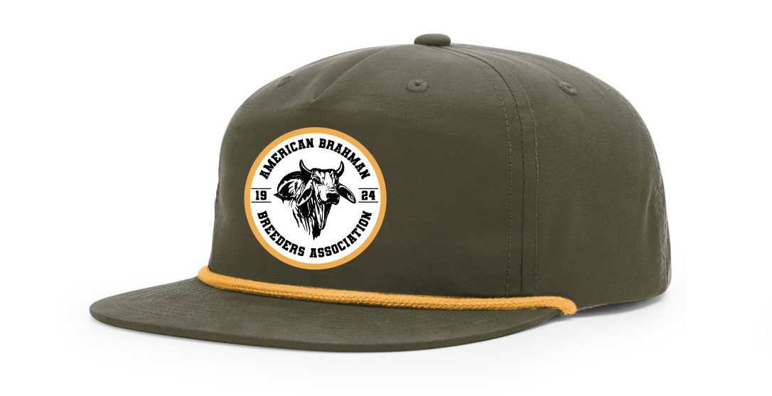 Vintage Brahman Hat - Olive