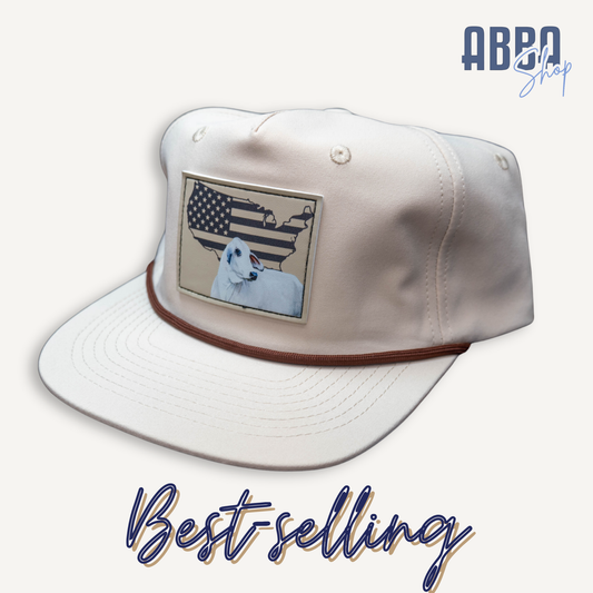 Grey Brahman Leather Patch Hat - Beige
