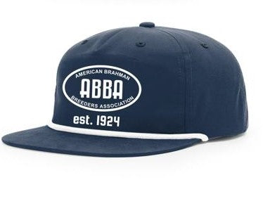 ABBA 1924 Blue Vintage Hat