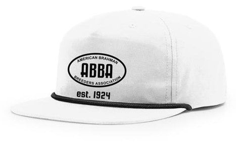 ABBA 1924 White Vintage Hat