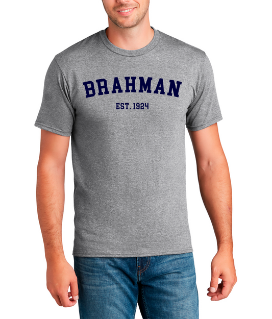 Brahman 1924 T-Shirt - Gray