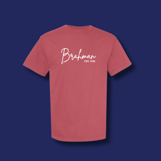 Brahman Script T-Shirt