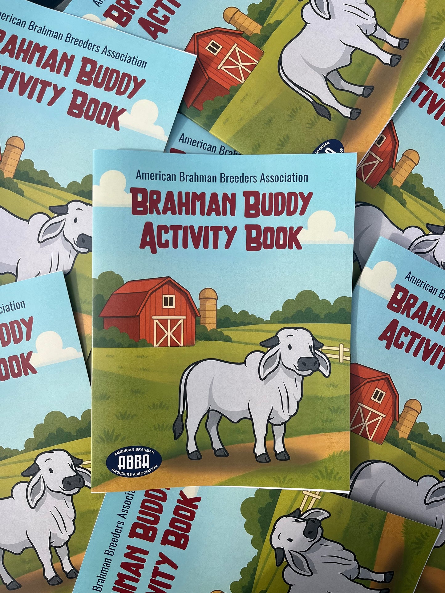 Brahman Buddy Activity Book