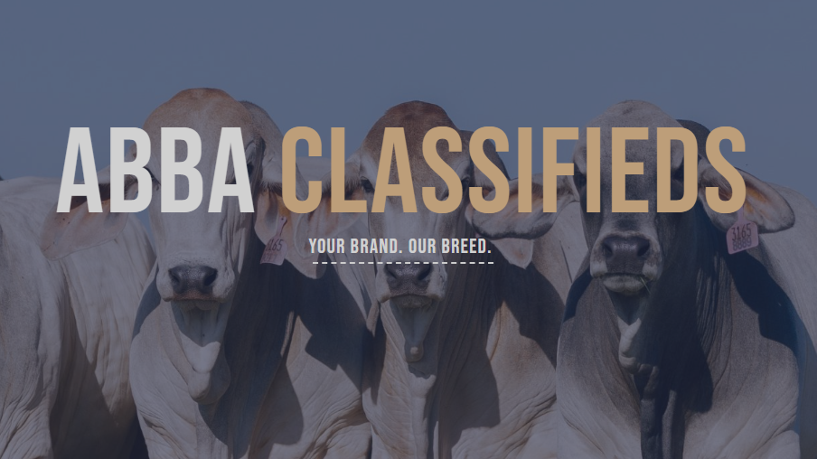 ABBA Classifieds Page Listing