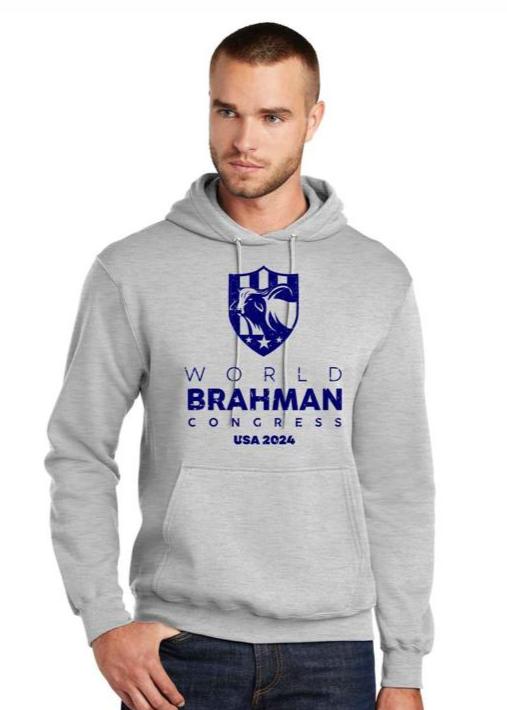 World Brahman Congress Hoodie - Grey