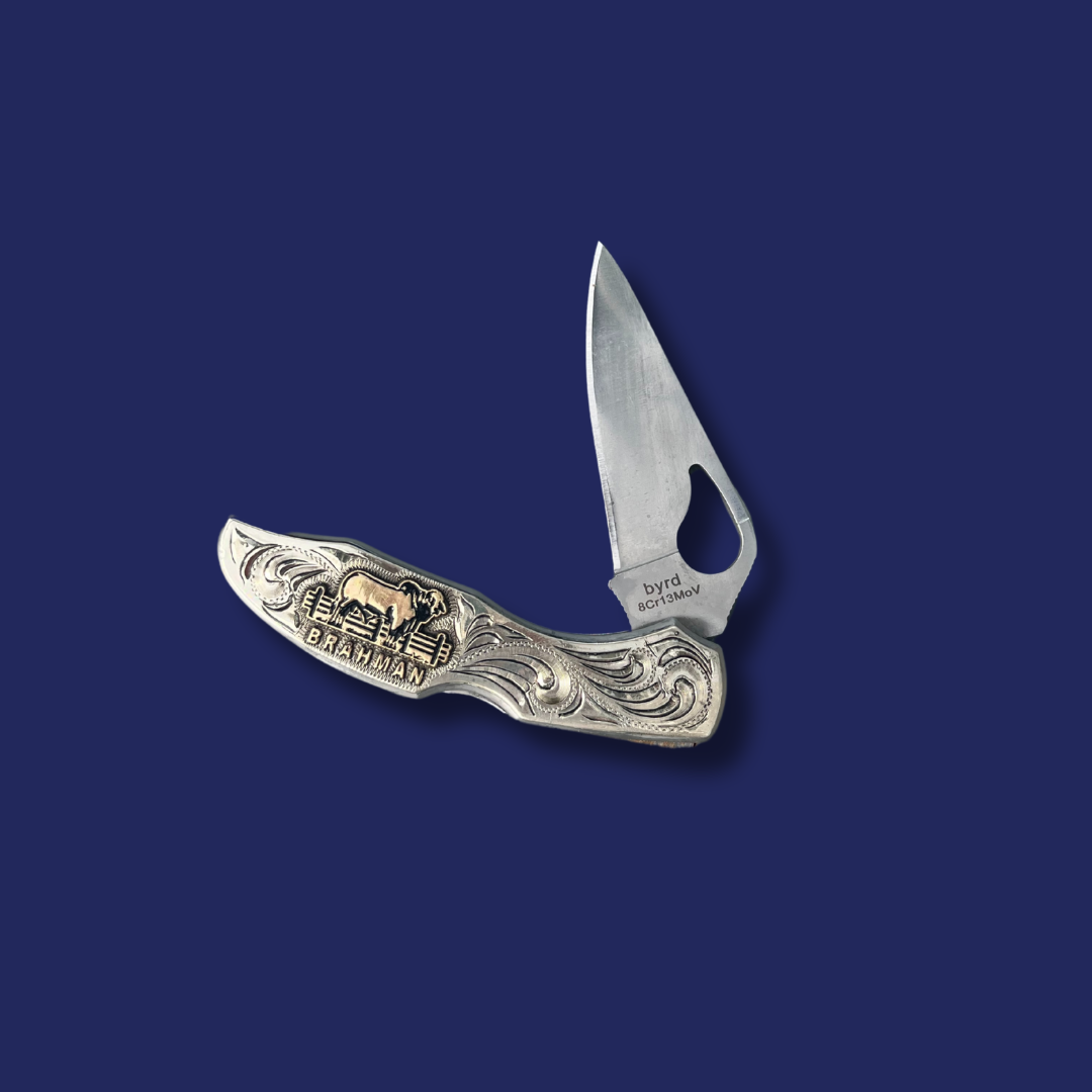 ABBA Byrd Knife - Silver and Gold
