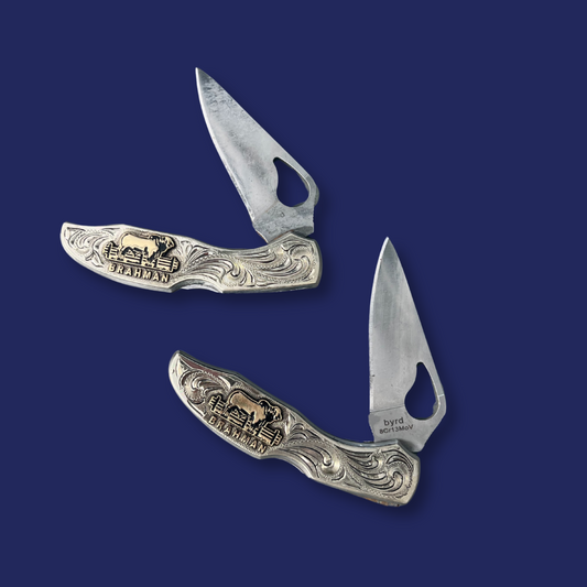 ABBA Byrd Knife - Silver and Gold