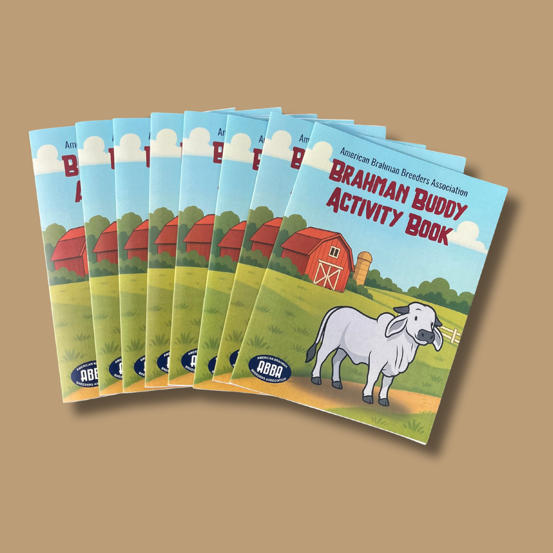 Brahman Buddy Activity Book