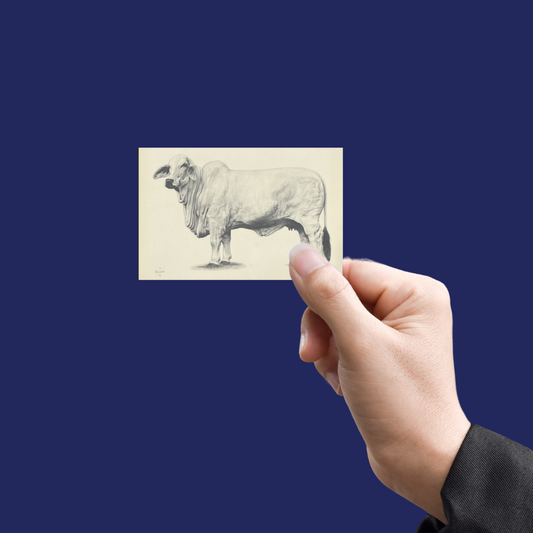 Female Print Sticker