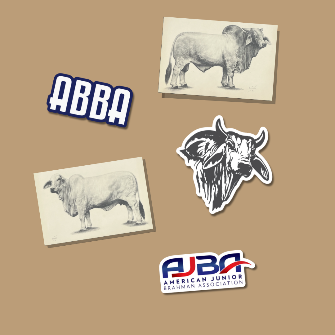 Bhraman Sticker Brahman Sticker Bundle – Shop American Brahman!